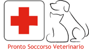 Compila il modulo selezionando la voce Pronto Soccorso con la descrizione del problema.
